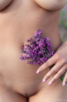 Sumiko Voluptuous Beauty Is Soon Naked Among The Flowers