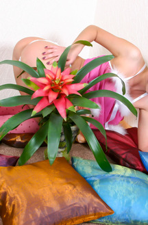 Brigitta F Sedation Reveals Stunning Sexy Body Poses