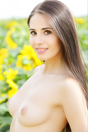 Vanessa A Posing Nude Near Sunflowers