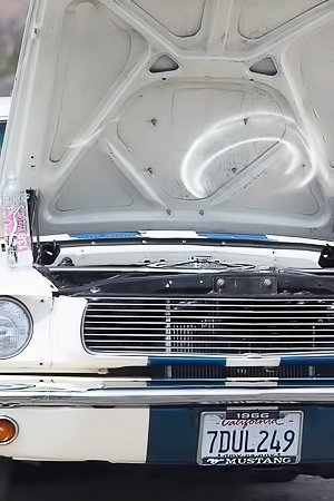 Colleen Shannon Rides Topless In A Mustang